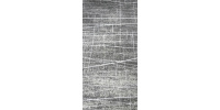 apollo-160x230-1250x2500