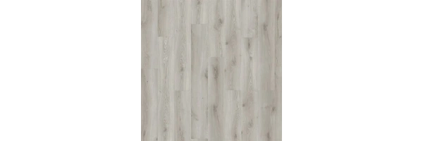sessile-grey-oak-03935